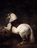 Белая лошадь. 1634